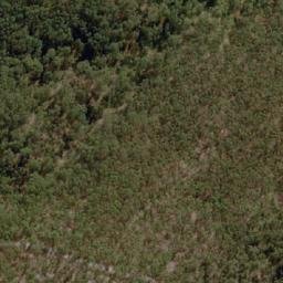 Satellite imagery of Archie Lookout, AU