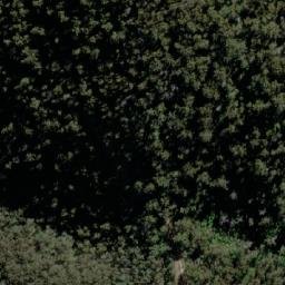 Satellite imagery of Mount Elephant, AU