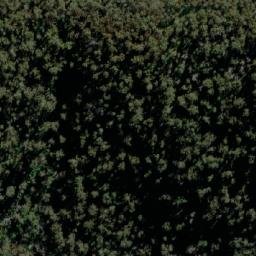 Satellite imagery of Mount Elephant, AU