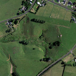Satellite imagery of T NO 2, NZ