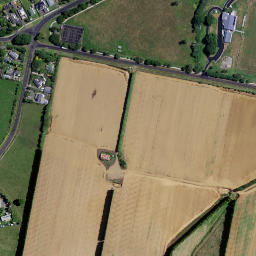 Satellite imagery of T NO 2, NZ