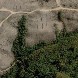 Satellite imagery of Cerro Los Pinos, CL