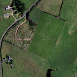 Satellite imagery of T NO 2, NZ