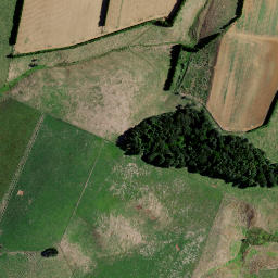 Satellite imagery of T NO 2, NZ