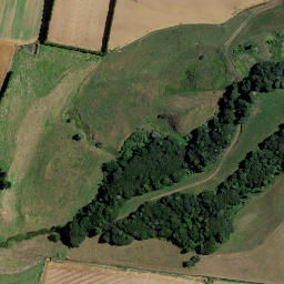 Satellite imagery of T NO 2, NZ