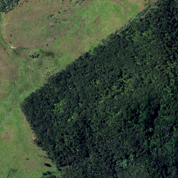 Satellite imagery of C WATERFALL, NZ