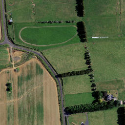 Satellite imagery of T NO 2, NZ