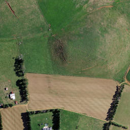Satellite imagery of T NO 2, NZ