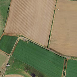Satellite imagery of T NO 2, NZ