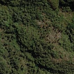 Satellite imagery of Cerro Los Pinos, CL