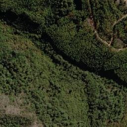 Satellite imagery of Cerro Los Pinos, CL