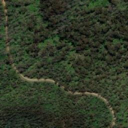 Satellite imagery of Tommy Roundhead Hill, AU