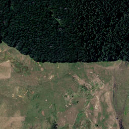 Satellite imagery of Z NO 2, NZ