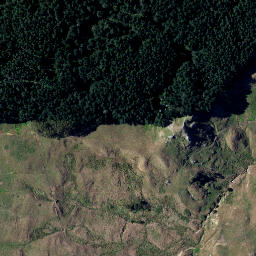 Satellite imagery of Z NO 2, NZ