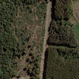 Satellite imagery of Mount Macedon, AU