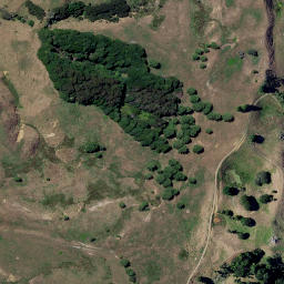 Satellite imagery of Z NO 2, NZ