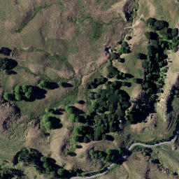 Satellite imagery of Z NO 2, NZ