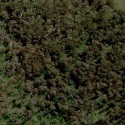 Satellite imagery of Mount Baldhead, AU