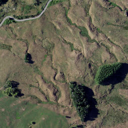 Satellite imagery of Z NO 2, NZ
