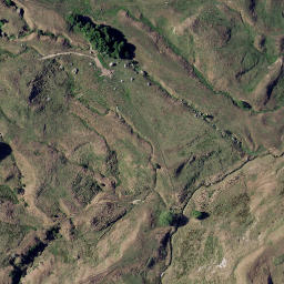 Satellite imagery of Z NO 2, NZ