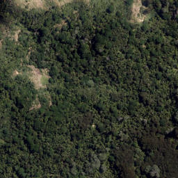 Satellite imagery of Rapatiotio Point, NZ