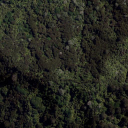 Satellite imagery of Rapatiotio Point, NZ