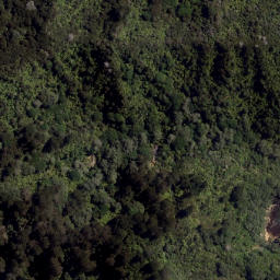Satellite imagery of Rapatiotio Point, NZ