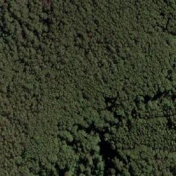 Satellite imagery of Mount Towrong, AU