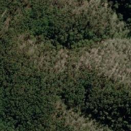 Satellite imagery of Mount Robertson, AU