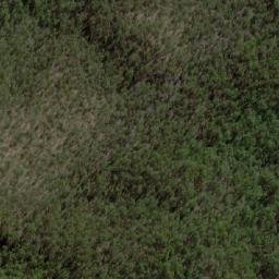 Satellite imagery of Lady Elizabeth, AU