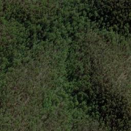 Satellite imagery of Lady Elizabeth, AU