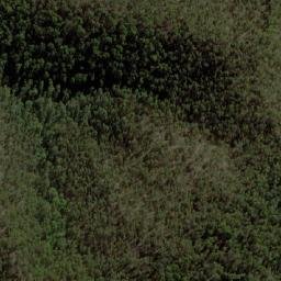 Satellite imagery of Lady Elizabeth, AU