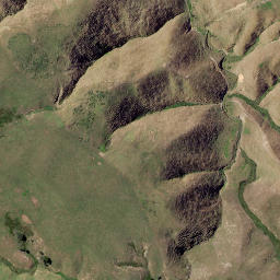 Satellite imagery of Putataka Point, NZ