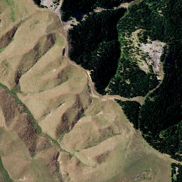 Satellite imagery of Putataka Point, NZ