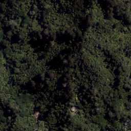 Satellite imagery of Rapatiotio Point, NZ