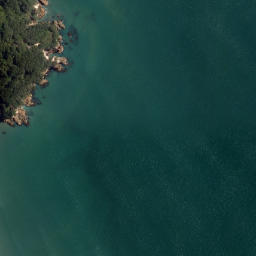 Satellite imagery of Rapatiotio Point, NZ
