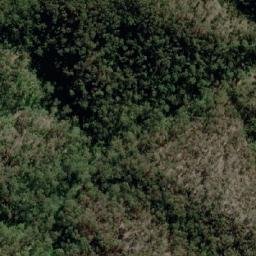 Satellite imagery of Mount Robertson, AU