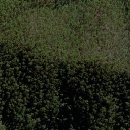 Satellite imagery of Lady Elizabeth, AU