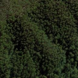 Satellite imagery of Lady Elizabeth, AU