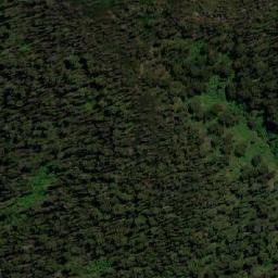 Satellite imagery of Mount Nadgee, AU