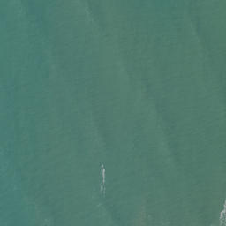 Satellite imagery of Okariha Point, NZ