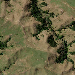 Satellite imagery of PUTATAKA, NZ