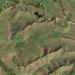 Satellite imagery of Putataka Point, NZ