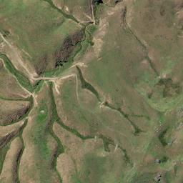Satellite imagery of Putataka Point, NZ
