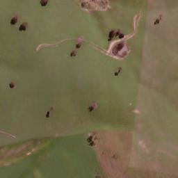Satellite imagery of Mount Challicum, AU