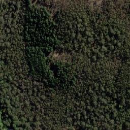 Satellite imagery of Mount Towrong, AU
