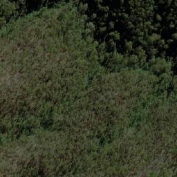 Satellite imagery of Lady Elizabeth, AU