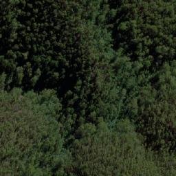 Satellite imagery of Lady Elizabeth, AU