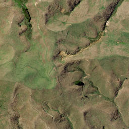 Satellite imagery of Putataka Point, NZ