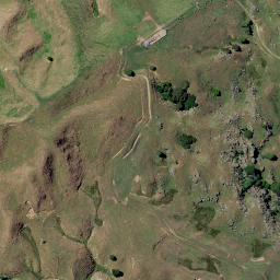 Satellite imagery of Putataka Point, NZ